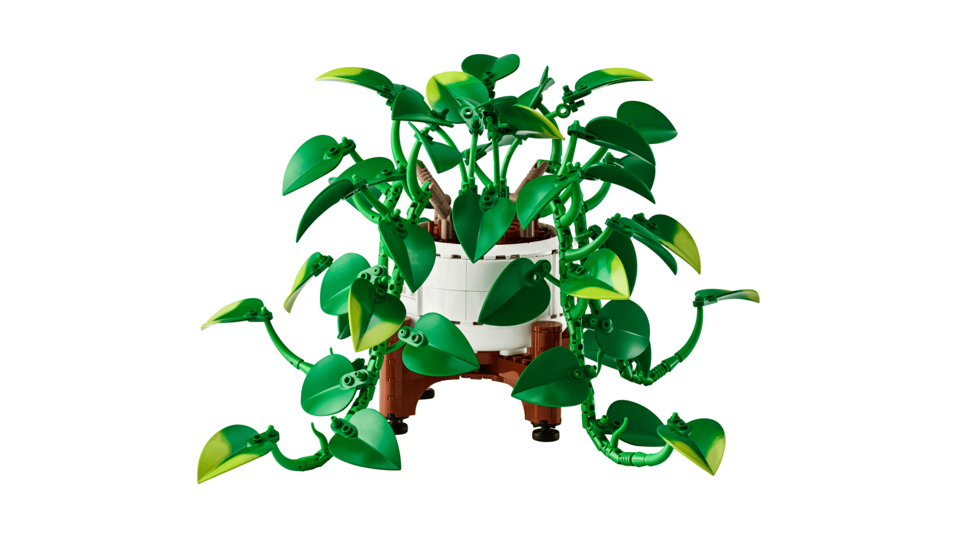LEGO Botanicals Hanging Golden Pothos (11512) Revealed | Release Date & Price